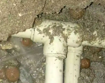 鹰潭市测漏水多少钱