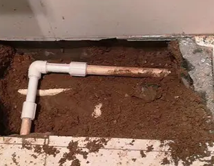 鹰潭市测漏水哪家好