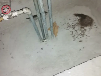 鹰潭市卫生间测漏水价格明细