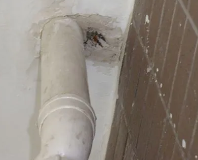 鹰潭市漏水检测哪家好